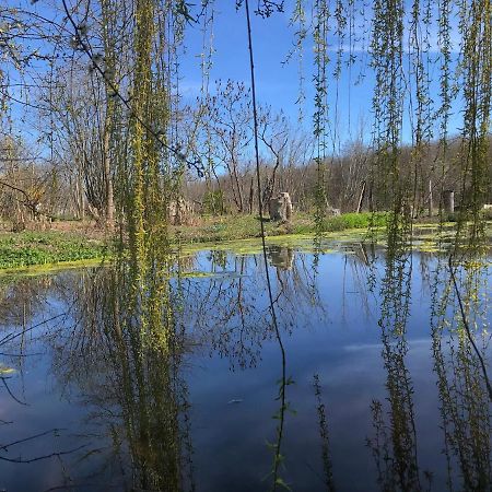 La Barcelle, Une Pause Nature. Perrigny  Екстериор снимка